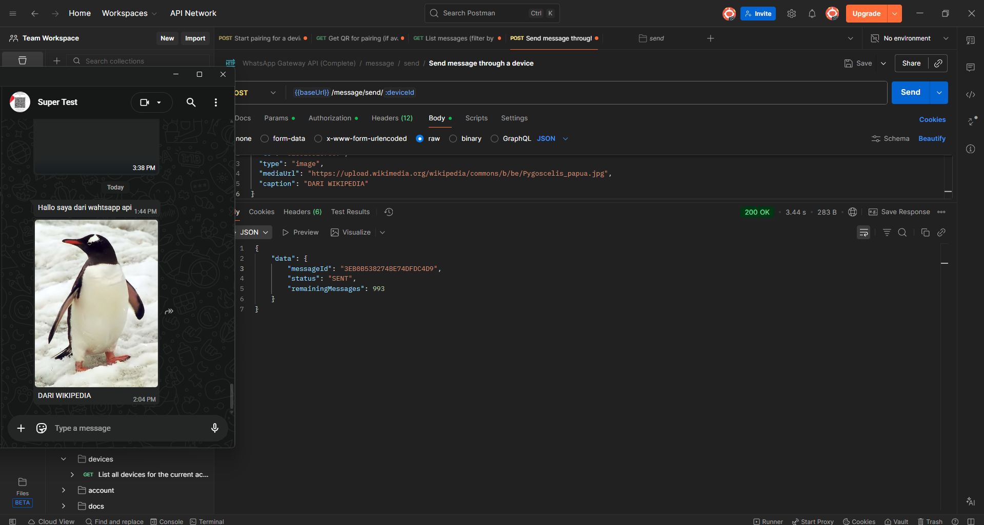 Unofficial WhatsApp API gallery 1